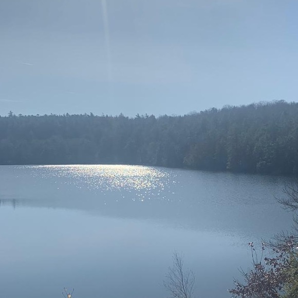 Meet your Posher, Zarah - Picture 1 of 1